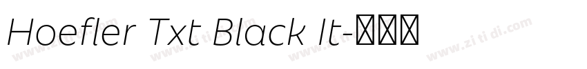 Hoefler Txt Black It字体转换